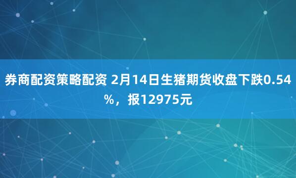 券商配资策略配资 2月14日生猪期货收盘下跌0.54%，报12975元