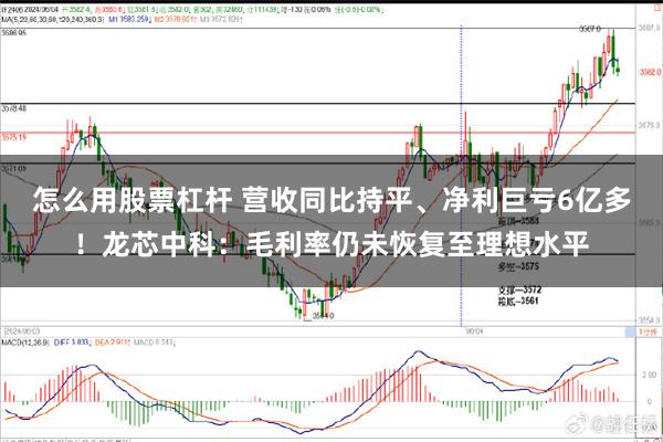 怎么用股票杠杆 营收同比持平、净利巨亏6亿多！龙芯中科：毛利率仍未恢复至理想水平