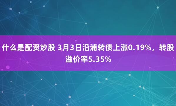 什么是配资炒股 3月3日沿浦转债上涨0.19%，转股溢价率5.35%