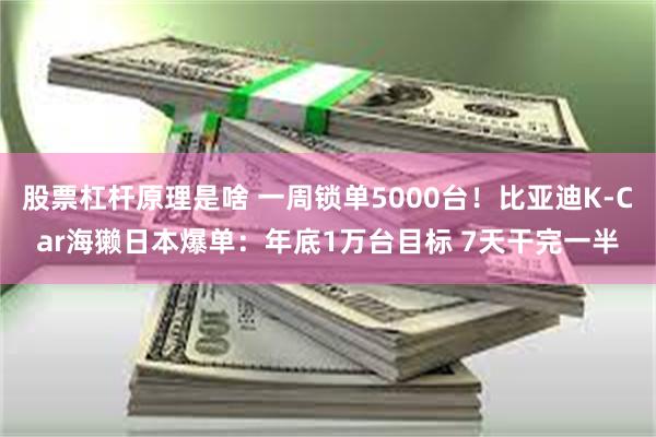 股票杠杆原理是啥 一周锁单5000台！比亚迪K-Car海獭日本爆单：年底1万台目标 7天干完一半